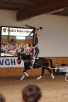 DSC09502-Kopie