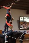 DSC09513-Kopie