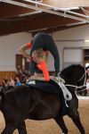 DSC09534-Kopie