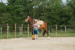 DSC07532-Kopie