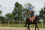 DSC07542-Kopie