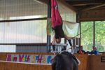 DSC07645-Kopie