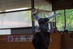 DSC07710-Kopie