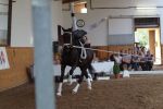 DSC07688-Kopie