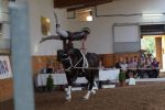 DSC07714-Kopie