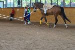 DSC07834-Kopie