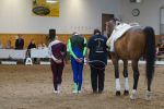 DSC07848-Kopie