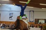 DSC08064-Kopie