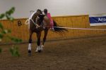 DSC08756-Kopie