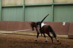 DSC09603-Kopie