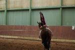 DSC09627-Kopie