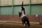 DSC09634-Kopie