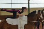 DSC09707-Kopie