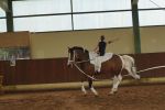 DSC09712-Kopie