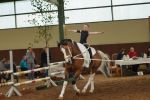 DSC09733-Kopie