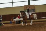DSC09744-Kopie