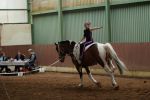DSC09749-Kopie
