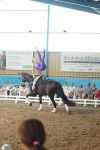 DSC00010-Kopie