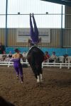 DSC00026-Kopie