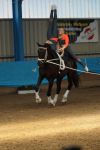 DSC00132-Kopie