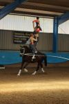 DSC00150-Kopie