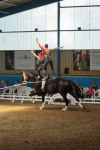 DSC00167-Kopie