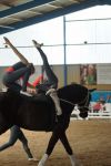 DSC00176-Kopie