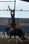 DSC00192-Kopie