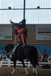 DSC00214-Kopie