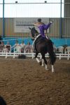 DSC09829-Kopie