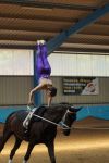 DSC09853-Kopie