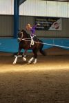 DSC09862-Kopie