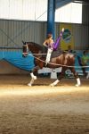 DSC09872-Kopie