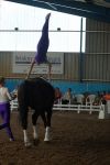 DSC09891-Kopie