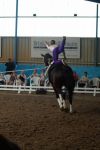DSC09897-Kopie