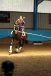DSC09918-Kopie