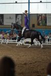 DSC09974-Kopie