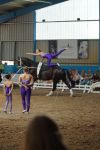 DSC09985-Kopie