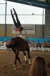 DSC00267-Kopie