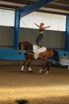 DSC00259-Kopie