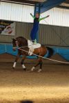 DSC00283-Kopie