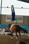 DSC00290-Kopie
