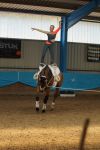 DSC00357-Kopie