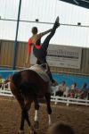 DSC00371-Kopie