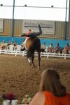 DSC00379-Kopie