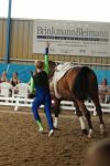 DSC00397-Kopie