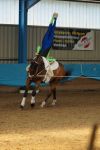 DSC00399-Kopie