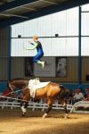 DSC00412-Kopie