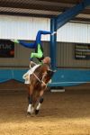 DSC00418-Kopie