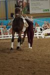 DSC00472-Kopie